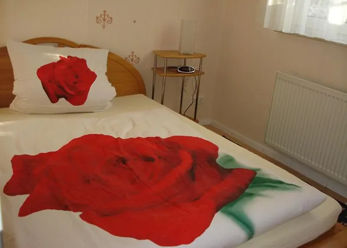 Schwalbe Hochdorf An Der Hohlgasse * Freiburg im Breisgau